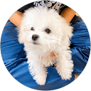 Sanjna S. profile picture