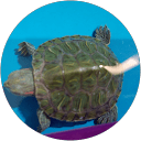 Isha Yadav profile picture