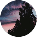 Riya Roy profile picture