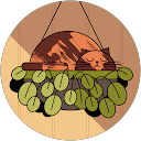 shriya profile picture