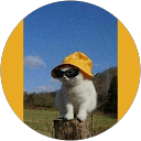 Smrithi profile picture