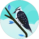 Jolly Jose profile picture