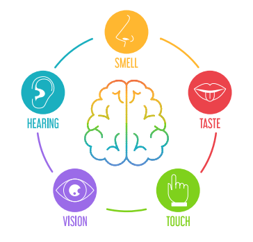 Sensory Test